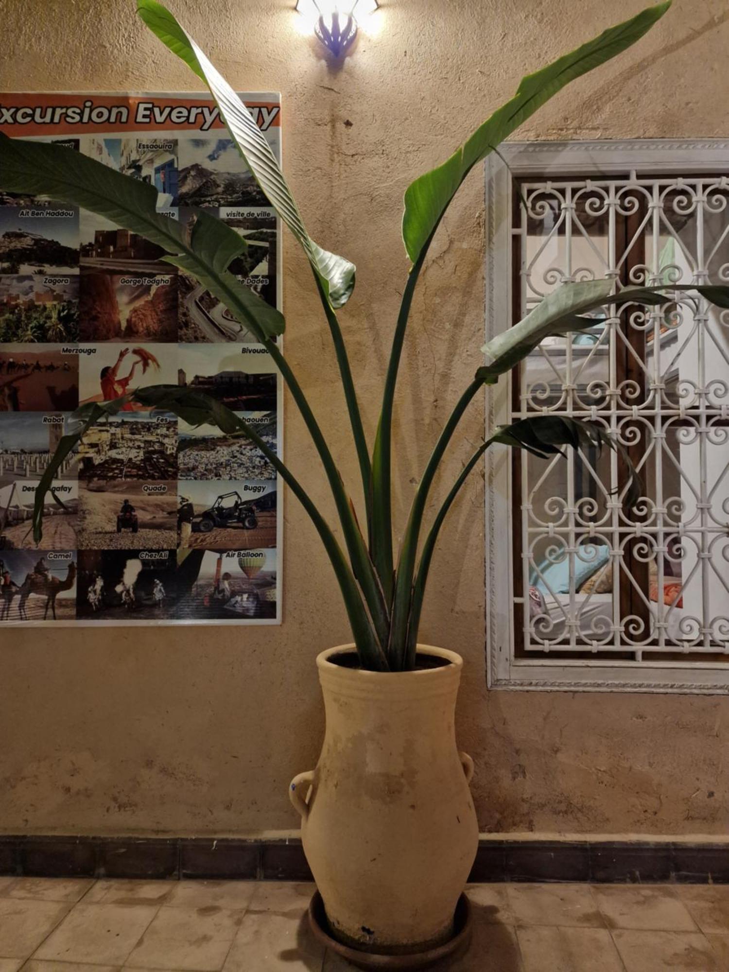 Hostel Laksour Marrakesh Buitenkant foto